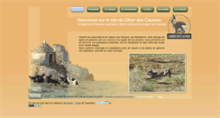 Desktop Screenshot of gibierdescausses.com